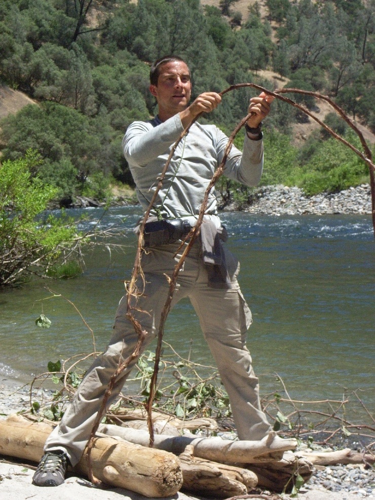 Bear Grylls