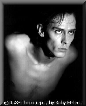 Peter Murphy