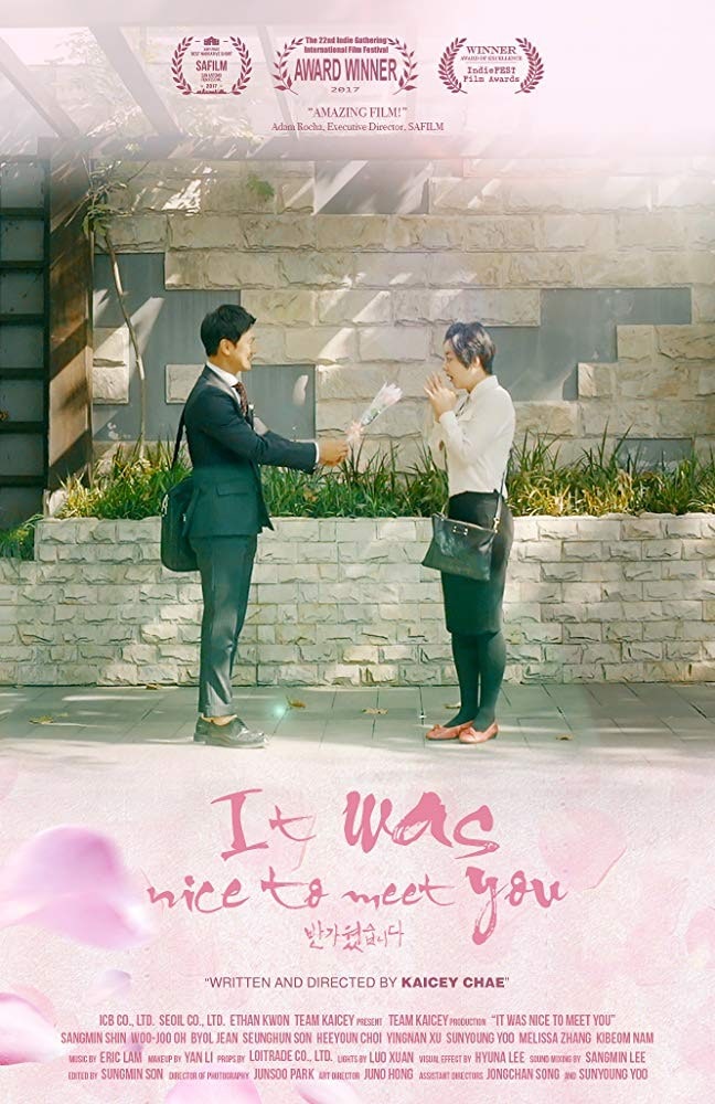 It was nice to meet you (2017)