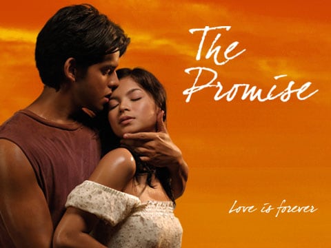 The Promise image