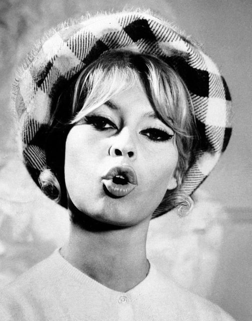 Brigitte Bardot image