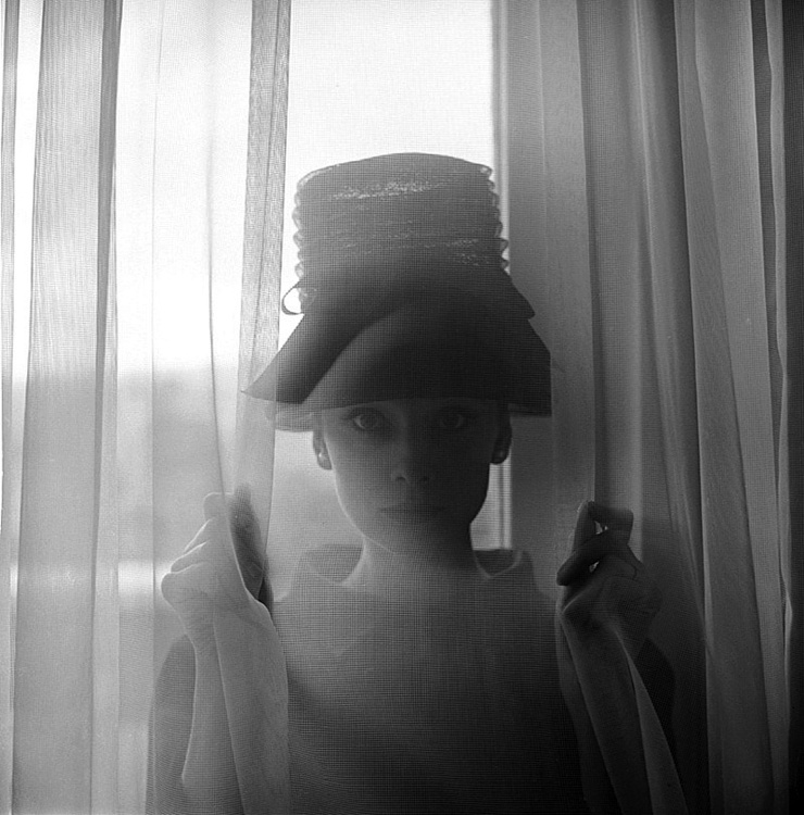 Audrey Hepburn Audrey Hepburn