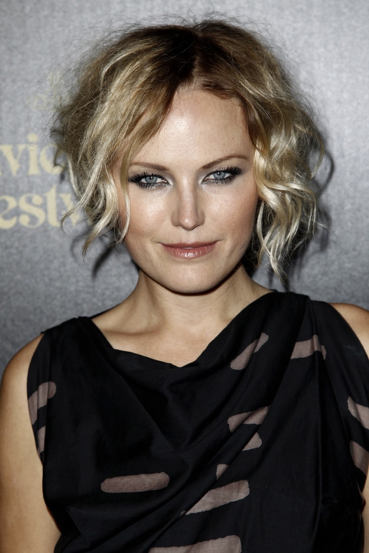 Picture Of Malin Akerman