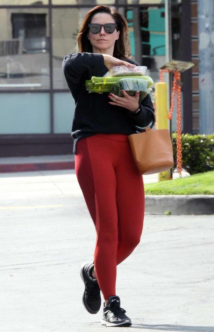 Sophia Bush