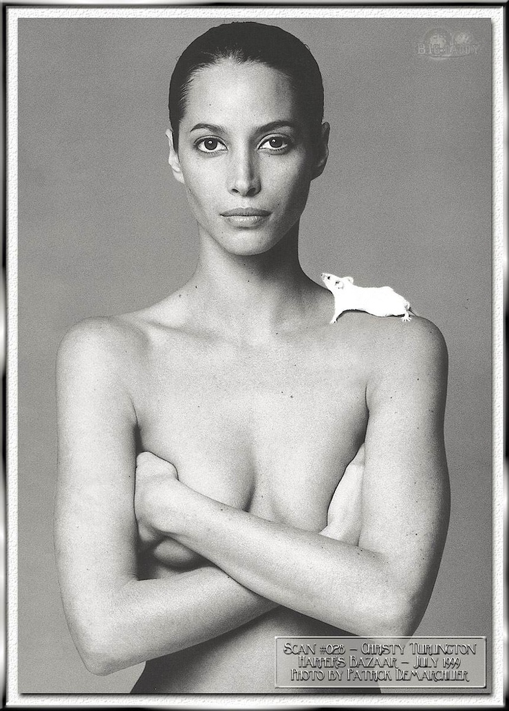 Christy Turlington