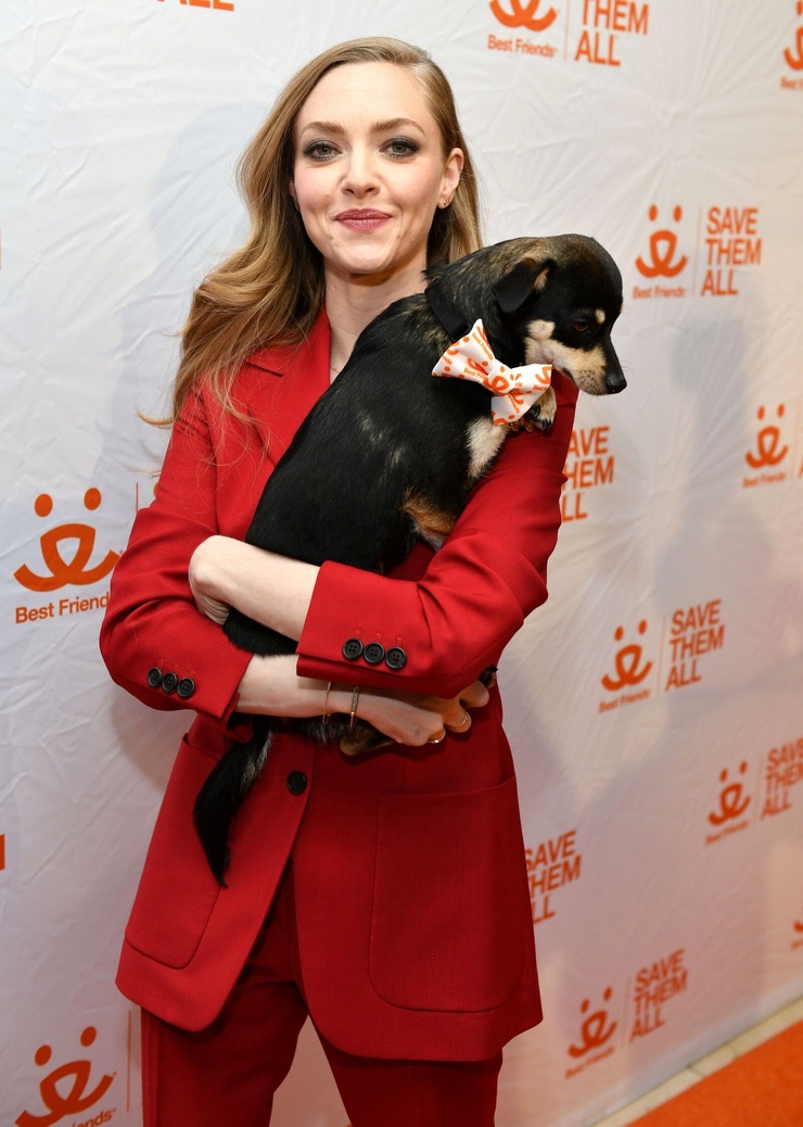 Amanda Seyfried