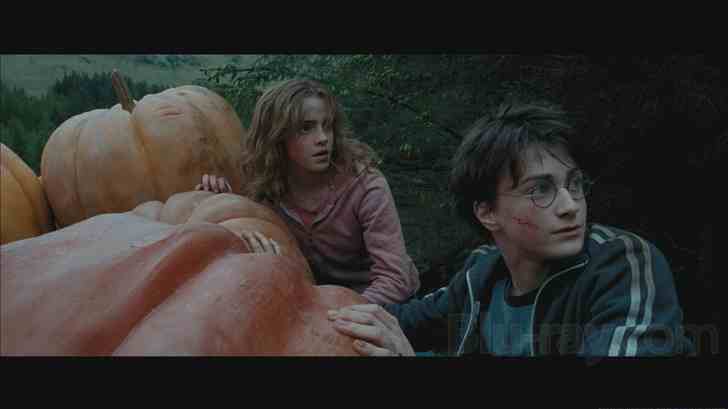 Harry Potter Years 1-7 Part 1 Gift Set 