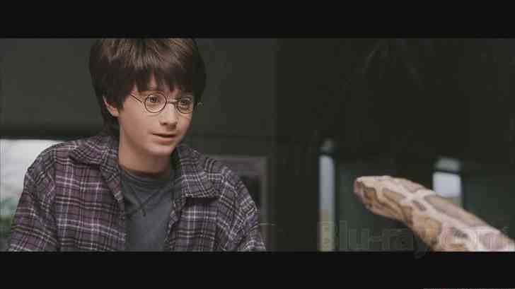 harry potter years 1