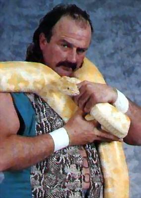 Jake Roberts