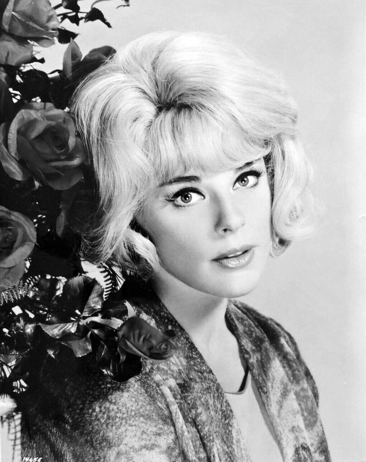 Elke Sommer