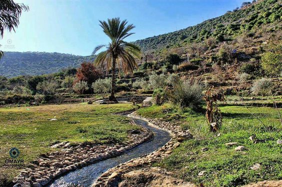 Palestine