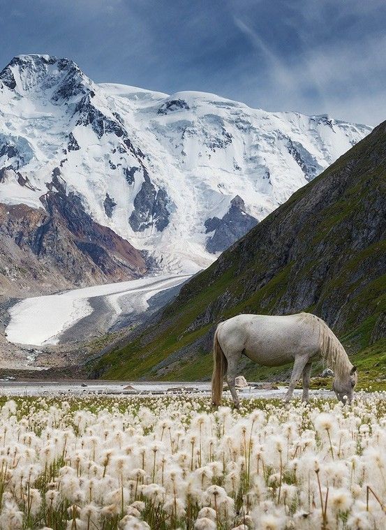 Kyrgyzstan