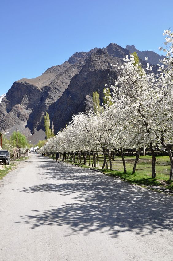 Tajikistan