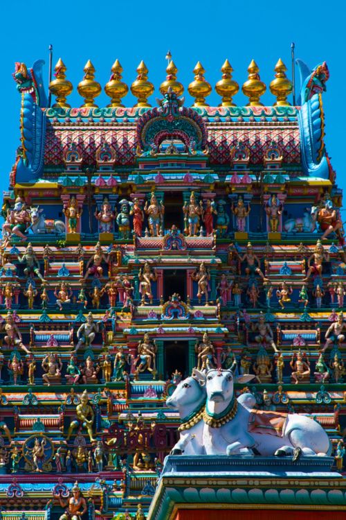 India India