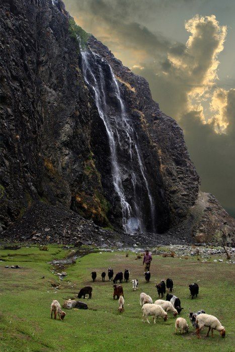 Pakistan Pakistan