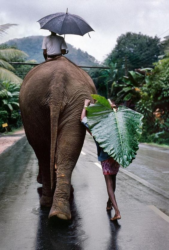 Sri Lanka