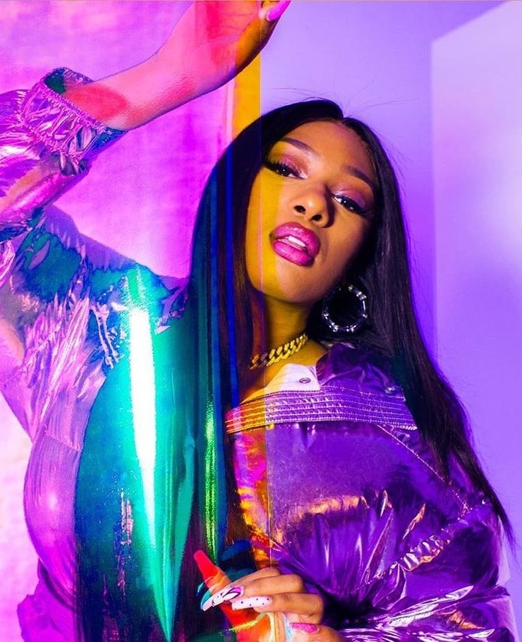 Megan Thee Stallion picture