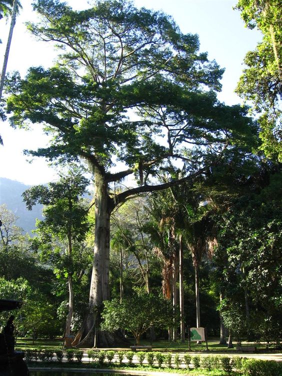 Equatorial Guinea