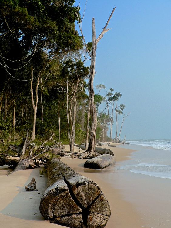 Gabon