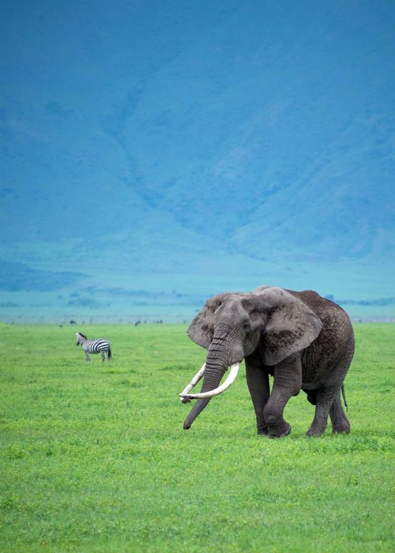Tanzania