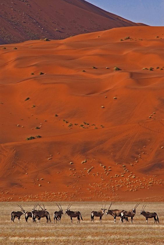 Namibia