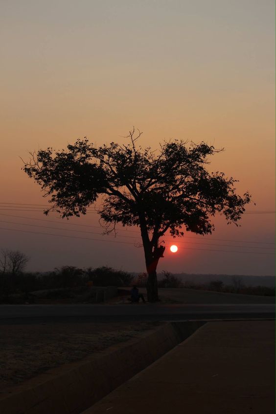 Zambia