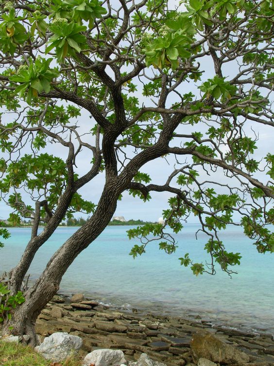 Marshall Islands
