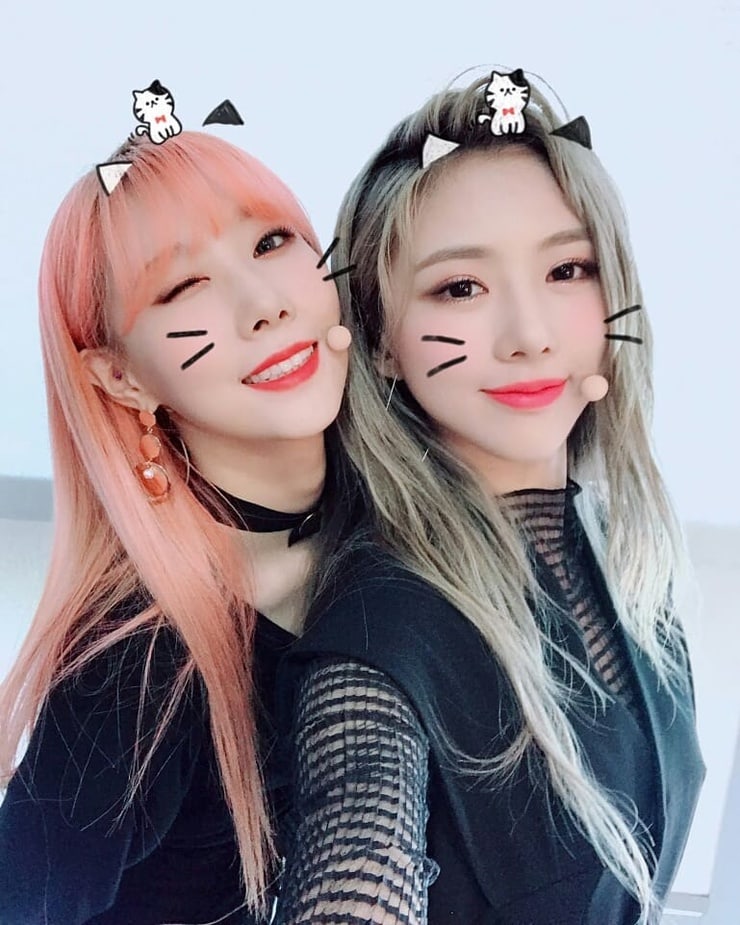 Dreamcatcher