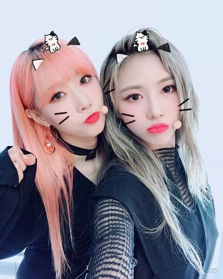 Dreamcatcher