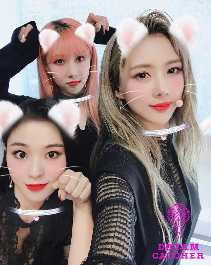 Dreamcatcher Dreamcatcher