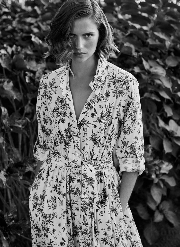 Cato Van Ee