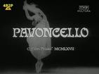 Pavoncello
