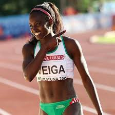 Evelise Veiga