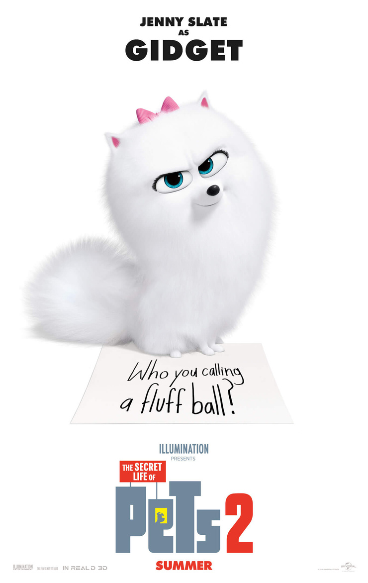 The Secret Life of Pets 2 (2019)
