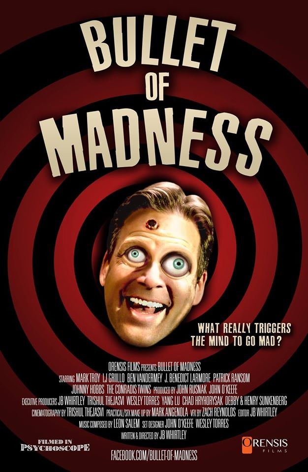 Bullet of Madness (2015)