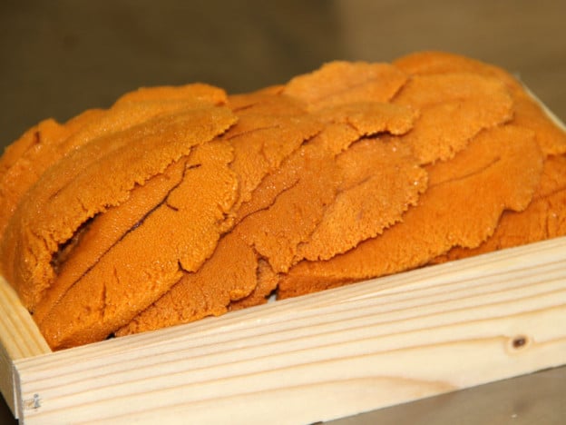 Sea Urchin Roe Sea Urchin Roe
