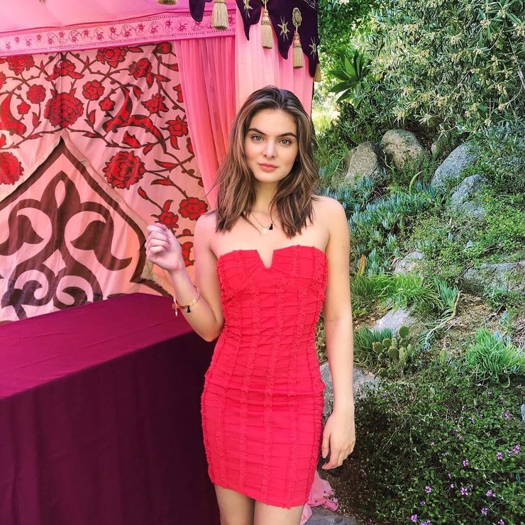 Brighton Sharbino