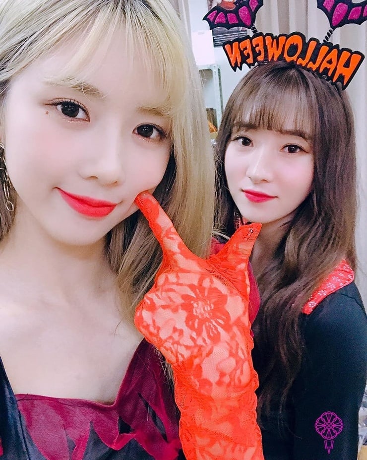Dreamcatcher Dreamcatcher