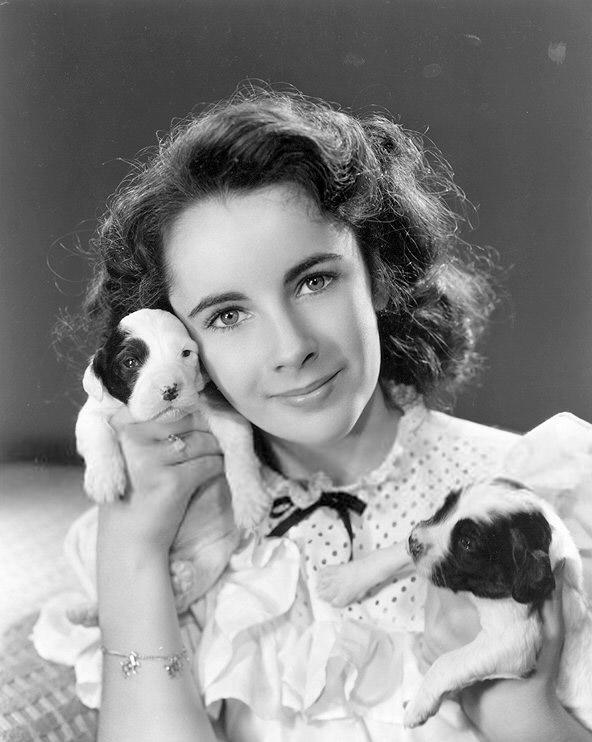 Elizabeth Taylor Elizabeth Taylor