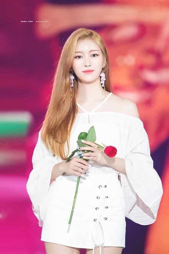 Jane (Momoland) Jane (Momoland)