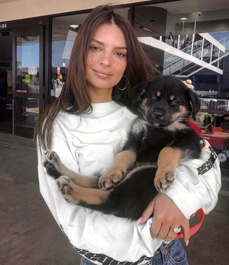 Emily Ratajkowski