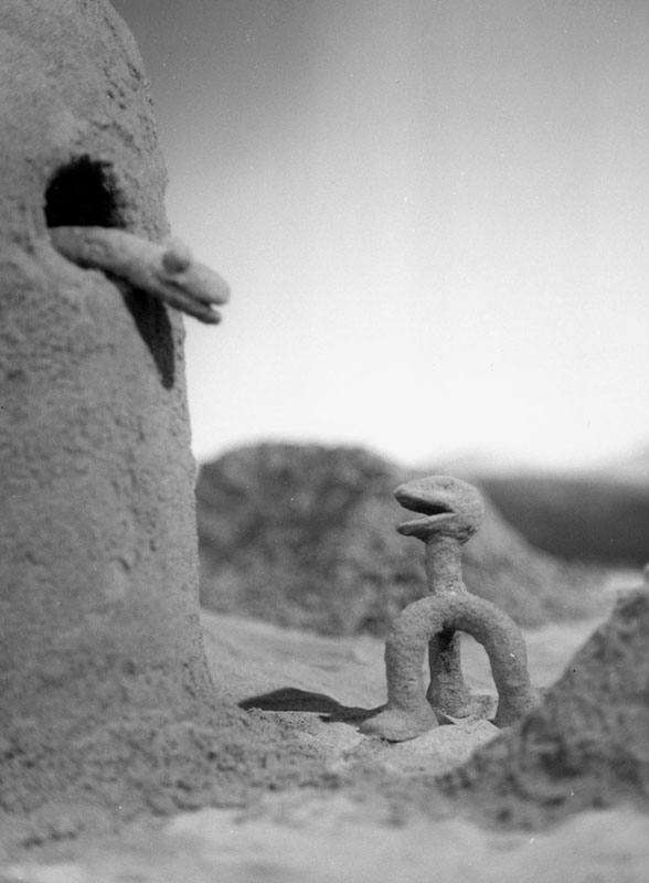 The Sand Castle