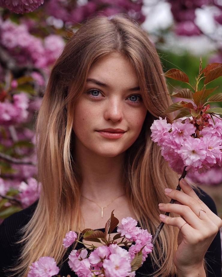 Willow Hand Willow Hand