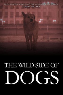 The Wild Side Of Dogs
