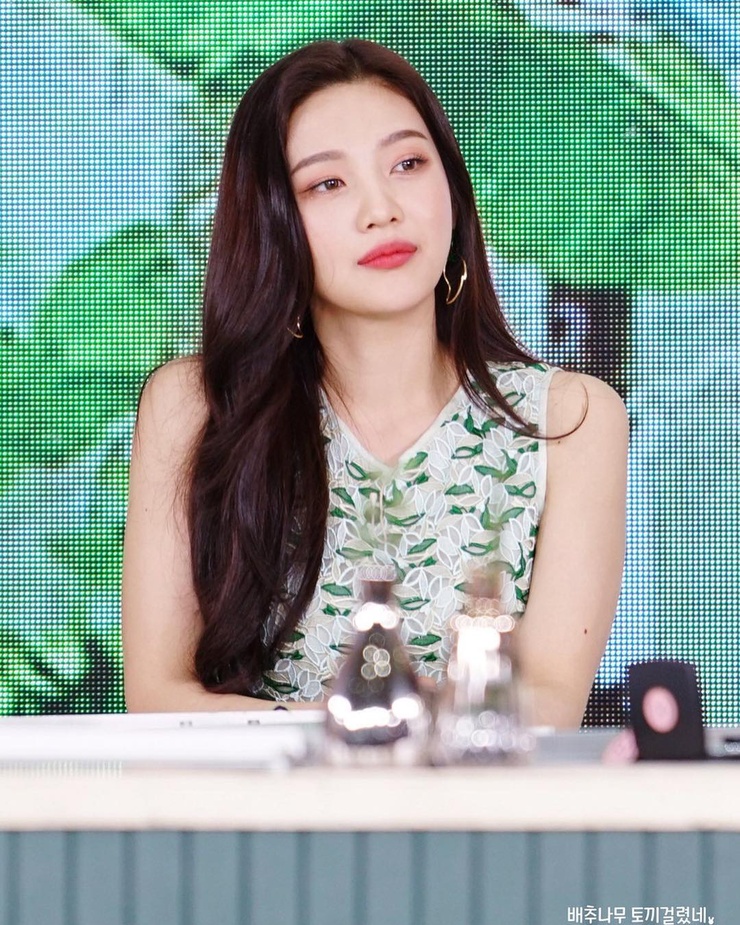Joy (Park Soo Young) Joy (Park Soo Young)