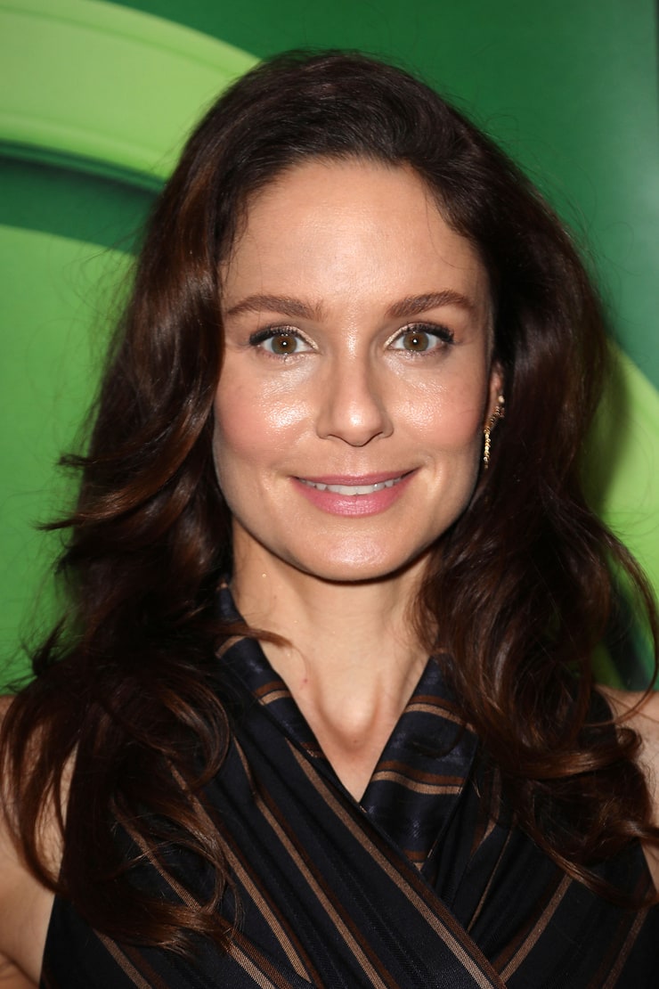 Sarah Wayne Callies