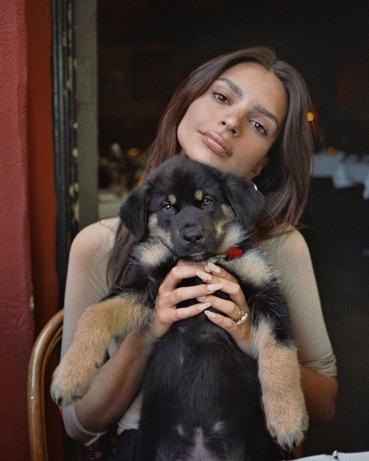 Emily Ratajkowski