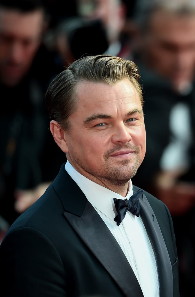 Picture of Leonardo DiCaprio