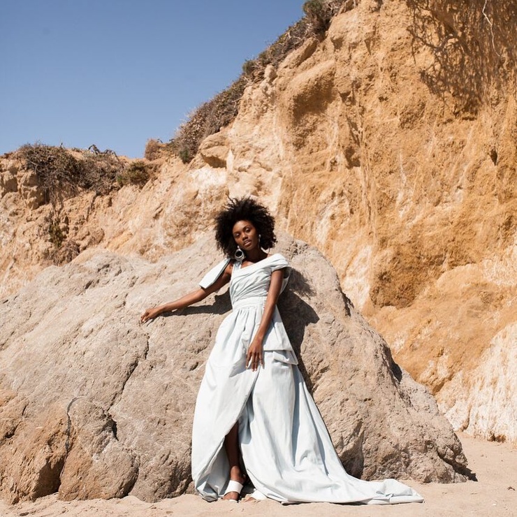 Milan Dixon
