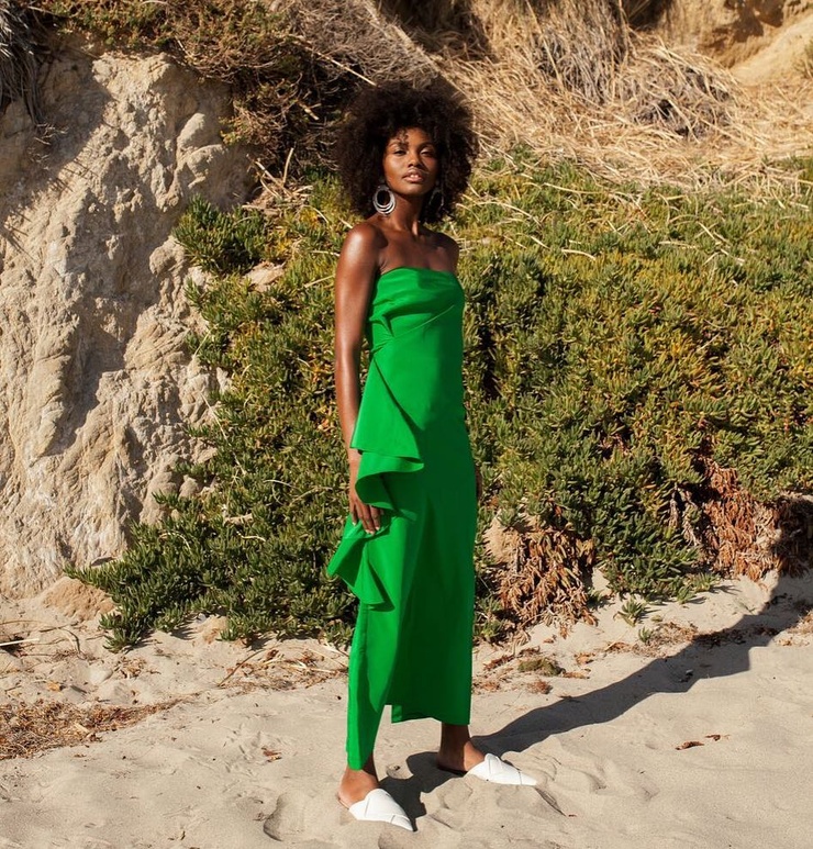 Milan Dixon